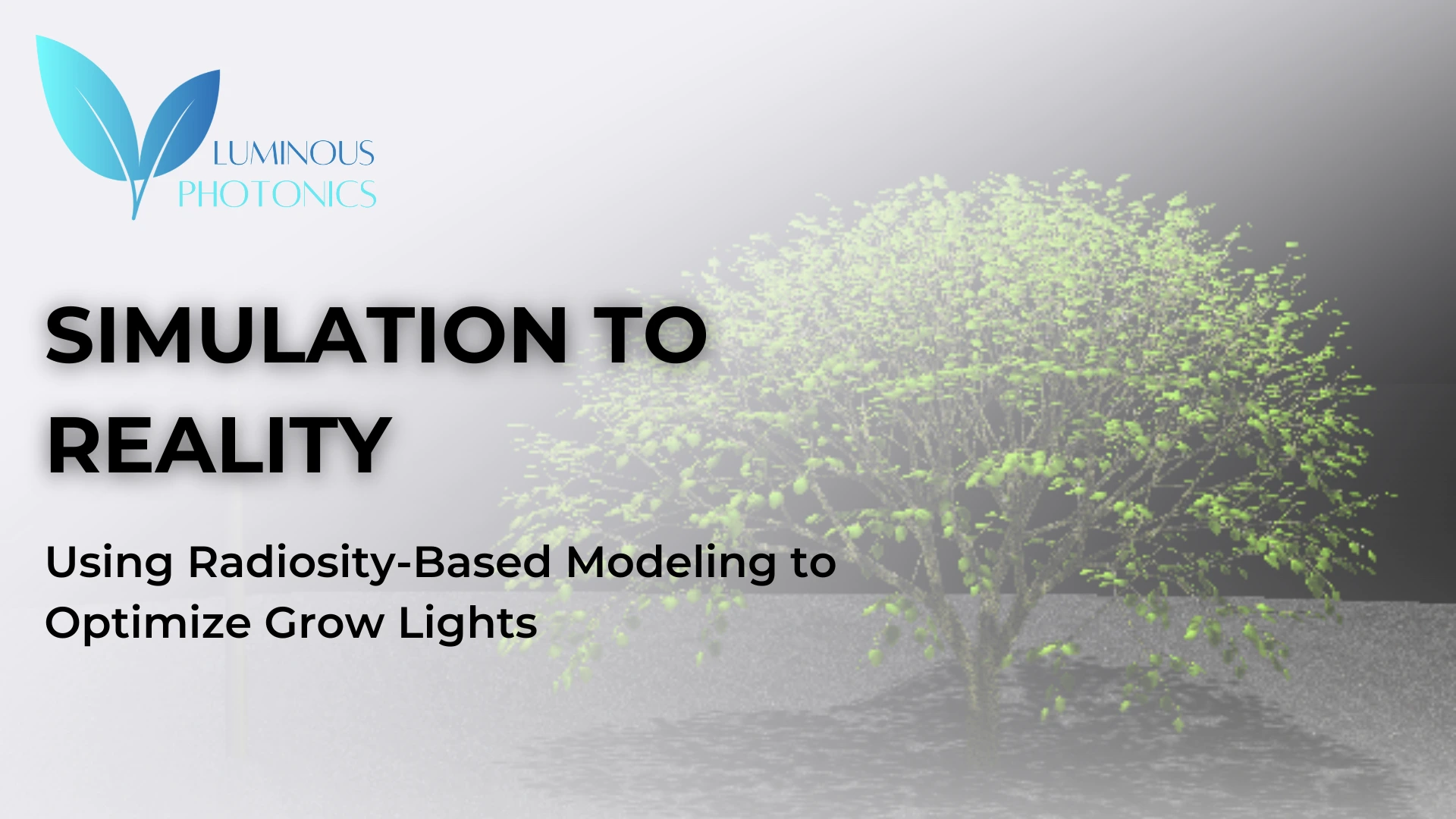 From Simulation to Reality: Using Radiance-Based Modeling to Optimize Grow Lights